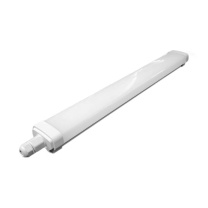 飞利浦 PHILIPS 三防灯 WT068C CW LED18 L600 PSU GC