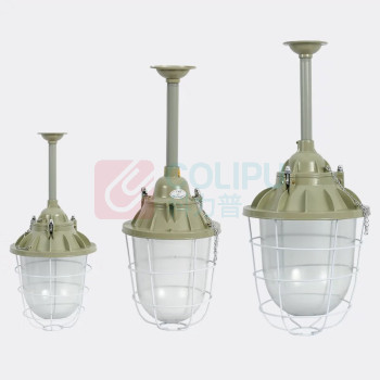硕士朗 吊灯 LED 自然光 50W 铝;玻璃 ≤IPX4 220V