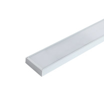 雷雷智光 吊灯 LL-CO8 LED 单色白光 48W 白色 开关式 10~20㎡(含) 2.7~3m(含) 亚克力 (白色)