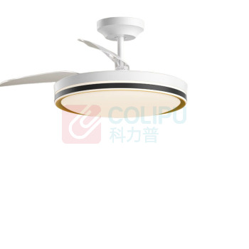 欧普照明 OPPLE 吊灯 FSD420-D24-04 LED 24W;24W 开关式;遥控器控制 铝合金 铝 880×352mm 220V