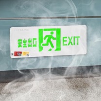 东君 应急标志灯 1 LED高亮发光灯 安全出口 1W 挂墙式+吊装式 220V 1个/个 个