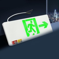 东君 应急标志灯 1 LED高亮发光灯 安全出口 向右 1W 挂墙式+吊装式 220V 1个/个 个