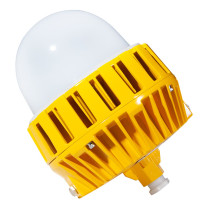 凯瑞 LED泛光灯 KLE1018-60W IP66 6000K (黄色)