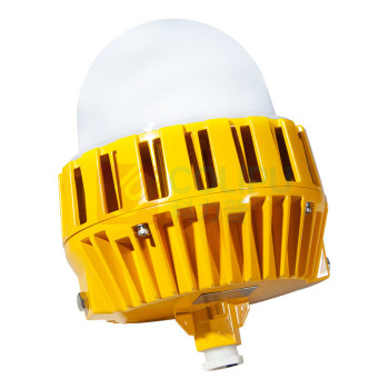 凯瑞 LED泛光灯 KLE1018-60W IP66 6000K (黄色)