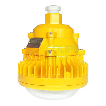 凯瑞 LED泛光灯 KLE1013-50W IP66 6000K (黄色)