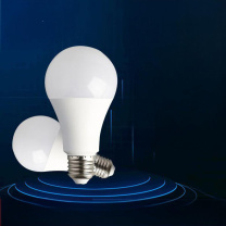 派智达 PAIZHIDA 白炽灯泡 220V/100W/E27螺口