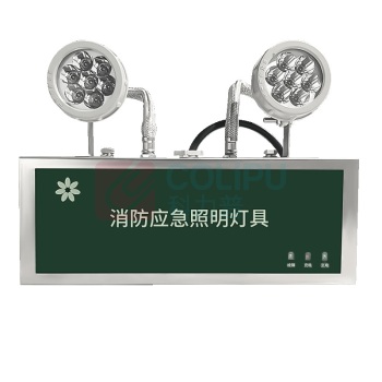 深照紫光 消防应急照明灯 GB8013-6W 220V 防护等级IP66 色温5000K (军绿色)