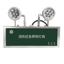 深照紫光 消防应急照明灯 GB8013-6W 220V 防护等级IP66 色温5000K (军绿色)