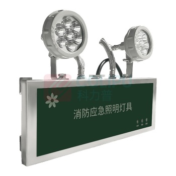 深照紫光 消防应急照明灯 GB8013-6W 220V 防护等级IP66 色温5000K (军绿色)