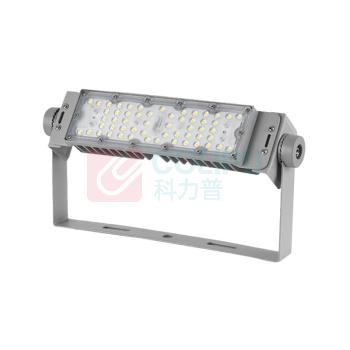深照紫光 泛光灯 GF9034 50W