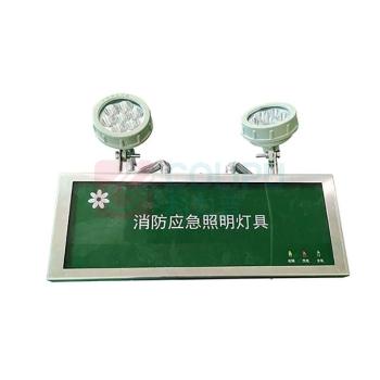 深照紫光 消防应急照明灯具 GB8013 2*3W