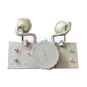 深照紫光 消防应急照明灯具 GB8013 2*3W