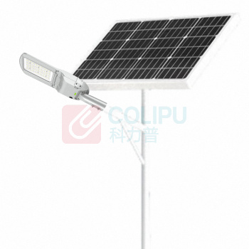顶火 太阳能路灯 GMD9416 额定电压AC48V 功率50W IP66 (银色)
