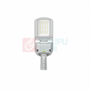 顶火 太阳能路灯 GMD9416 额定电压AC48V 功率50W IP66 (银色)