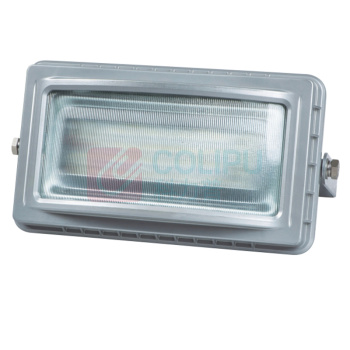 华荣(WAROM) 固定式LED灯具 RLERT006 