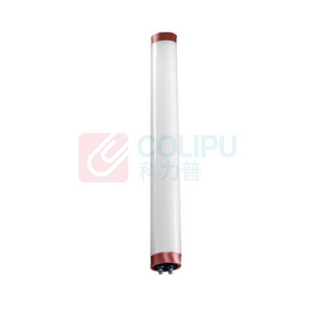 FSL LEDT8日光灯管 玻璃双端输入G13灯头 0.6m 220v 8w (白光)