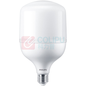 飞利浦 PHILIPS 恒亮型中低天棚灯LED灯泡标准口E27 30W冷光6500K 100017389163 