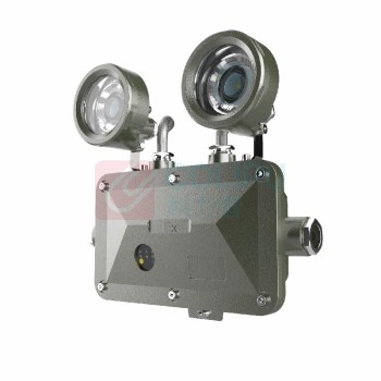 欧辉照明 LED消防应急照明灯具 OH-ZFJC-E6W-OHBF8190 2x3W IP66 DC36V 5700K 白光 ExdIIBT6Gb LED (灰色)