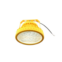 雷发照明 LEIFA LED防爆泛光灯 LFB-50-10 50W (自然光) 符合IEC 60985标准