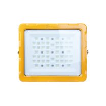 NORTTON LED防爆灯 NT9238-200 220V 200W