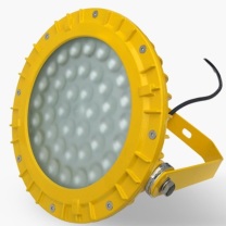 NORTTON 防爆灯 NT2238 220V,100W
