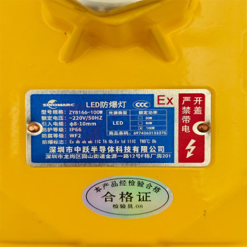 中跃 防爆泛光灯 ZY8166-100W 100W LED防爆X-1