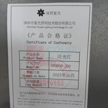 深照紫光 泛光灯 GF9056-200