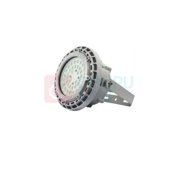 鑫旭辉 免维护LED防爆灯 XHD-7118-100W 尺寸φ268*246mm 工厂加油站厂房仓库吊灯泛光灯
