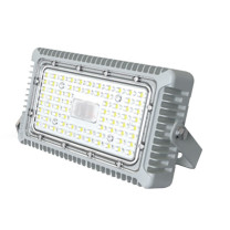SEVA尚为 泛光灯 SZSW7460-100 LED 30 壁挂式 240*146*80mm 有 铝合金 铝 5700K 220V 1套/套 套