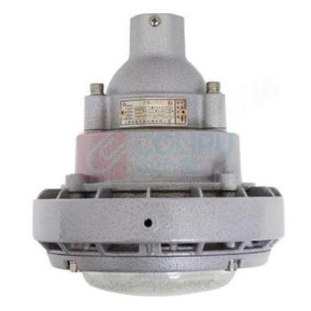 宝临 防爆泛光灯 GK1601-30W 30W IP66 铝合金 220V (灰色)