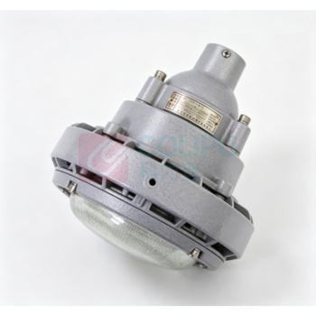 宝临 防爆泛光灯 GK1601-30W 30W IP66 铝合金 220V (灰色)
