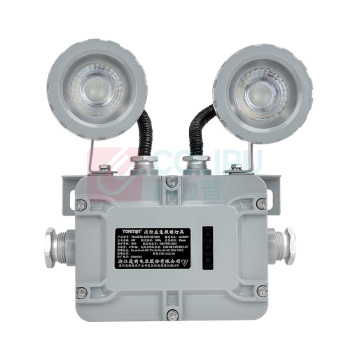 通明 TORMIN 防爆应急灯 TM-ZFZD-E6W-BC5200 2×3W IP66 ExdIICT6Gb/ExtdA21IP66T80℃ AC220V 5000K (灰色)