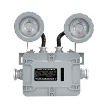 通明 TORMIN 防爆应急灯 TM-ZFZD-E6W-BC5200 2×3W IP66 ExdIICT6Gb/ExtdA21IP66T80℃ AC220V 5000K (灰色)