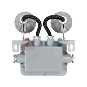 通明 TORMIN 防爆应急灯 TM-ZFZD-E6W-BC5200 2×3W IP66 ExdIICT6Gb/ExtdA21IP66T80℃ AC220V 5000K (灰色)