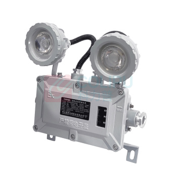 通明 TORMIN 防爆应急灯 TM-ZFZD-E6W-BC5200 2×3W IP66 ExdIICT6Gb/ExtdA21IP66T80℃ AC220V 5000K (灰色)