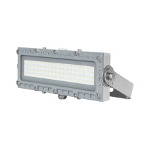 通明电器 LED防爆灯 BC9102S-L40 40W (灰色)