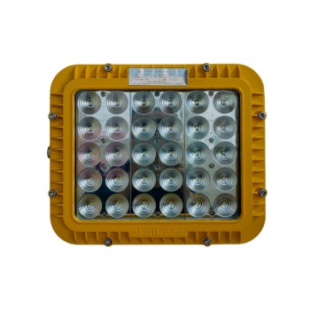 大华渼 防爆LED泛光灯 HM392-100w 100W 