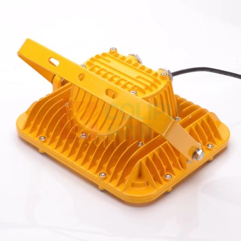 大华渼 防爆LED泛光灯 HM392-100w 100W 