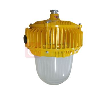 顶火 防爆平台灯 GMD8160-100W 防爆等级 Ex d IIC T6 Gb/Ex tD A21 IP66 T80℃ (橙色)