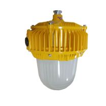 顶火 防爆平台灯 GMD8160-100W 防爆等级 Ex d IIC T6 Gb/Ex tD A21 IP66 T80℃ (橙色)