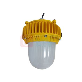 顶火 防爆平台灯 GMD8160-100W 防爆等级 Ex d IIC T6 Gb/Ex tD A21 IP66 T80℃ (橙色)