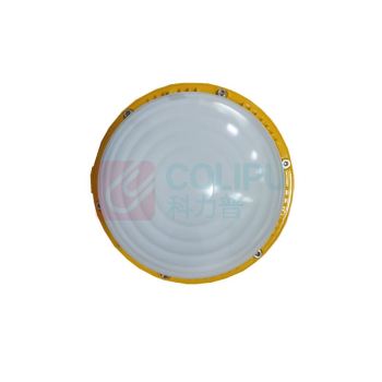 顶火 防爆平台灯 GMD8160-100W 防爆等级 Ex d IIC T6 Gb/Ex tD A21 IP66 T80℃ (橙色)