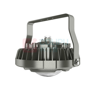麦哲喆 平台灯防爆灯 MLBF8234S LED100W