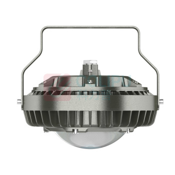 麦哲喆 防爆平台灯 MLBF8212 LED80W AC220V