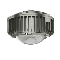 麦哲喆 防爆平台灯 MLBF8212Y LED60W AC220V
