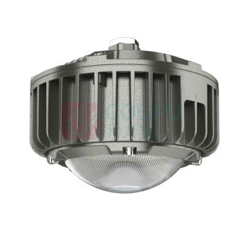 麦哲喆 防爆平台灯 MLBF8212 LED30W AC220V
