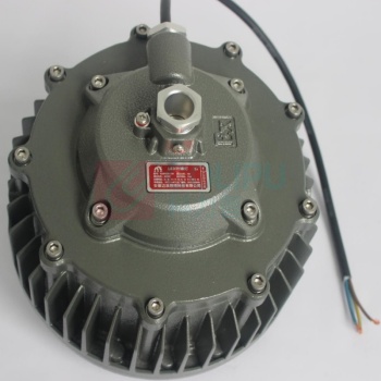 麦哲喆 侧进线防爆平台灯 MLBF8230 LED100W AC220V