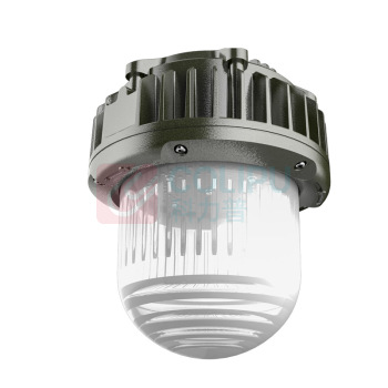 麦哲喆 防爆平台灯 MLBF8202S LED70W AC220V
