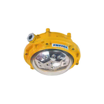 赛时工控 SHSSGK 平台防爆灯 SKSZD8-9201 45W 5700K
