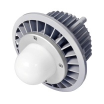 通明电器 LED防爆灯 BC9308P-L50-200 50W (灰色)